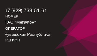 9297385161